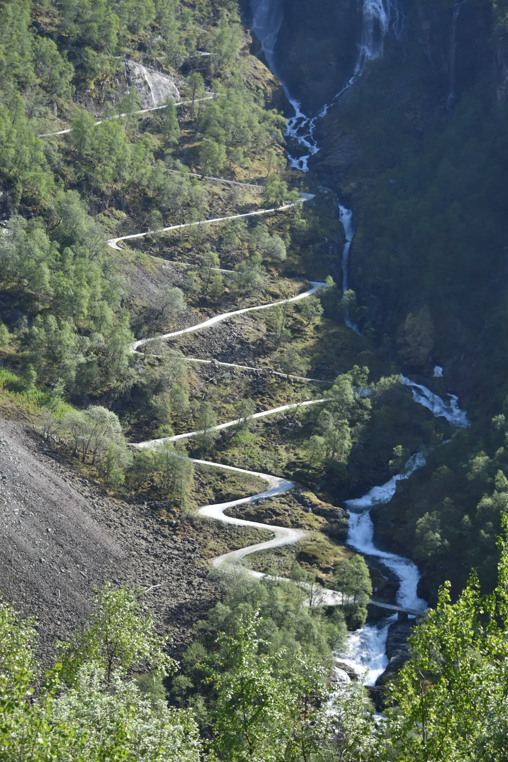View of a steep switchback road winding up a forested mountainside in Norway's Flåm Valley, with waterfalls visible on the slopes.